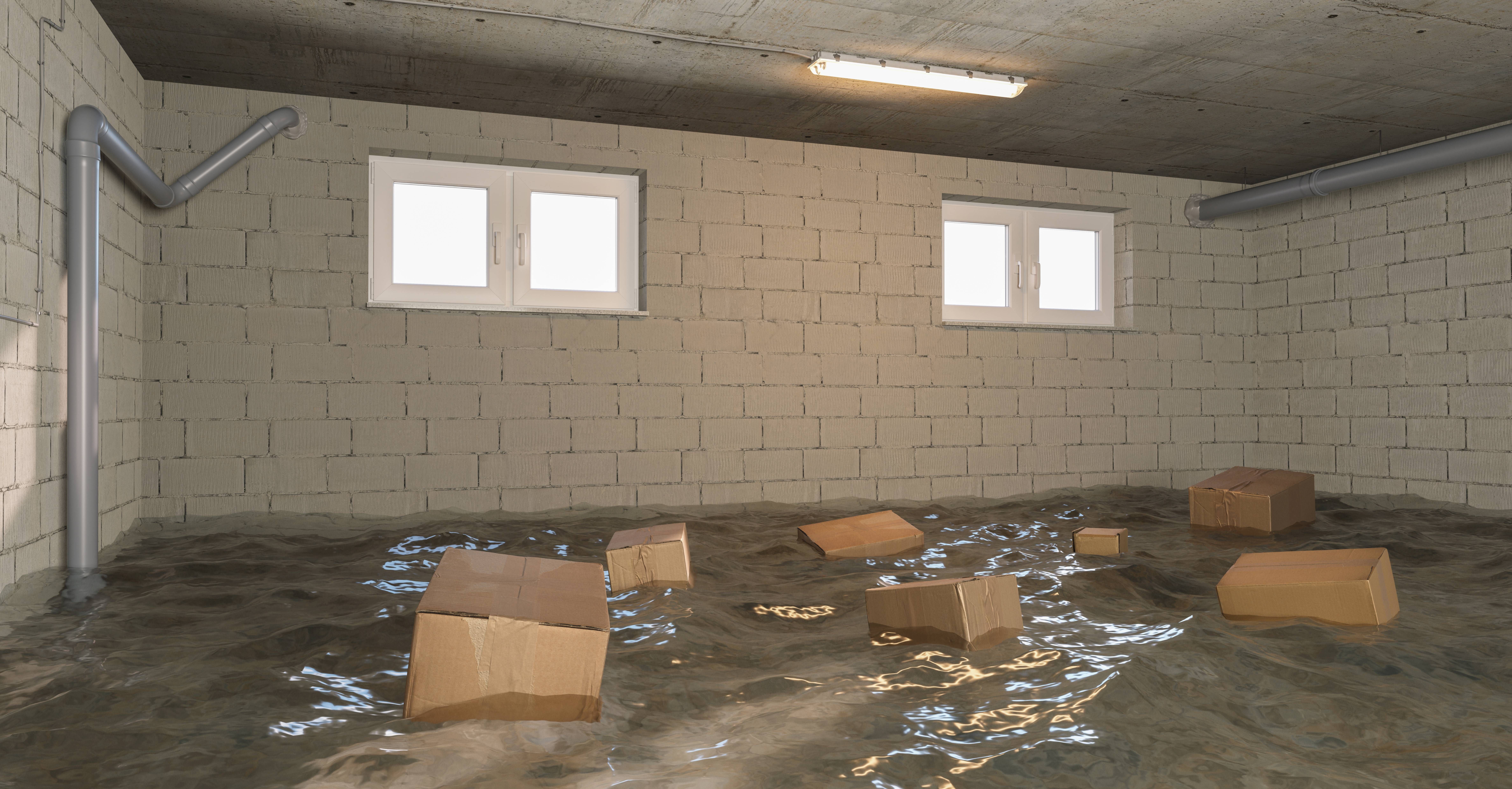 How Can A Plumber Help You Deal With Water Damage How Can A Plumber Help You Deal With Water Damage